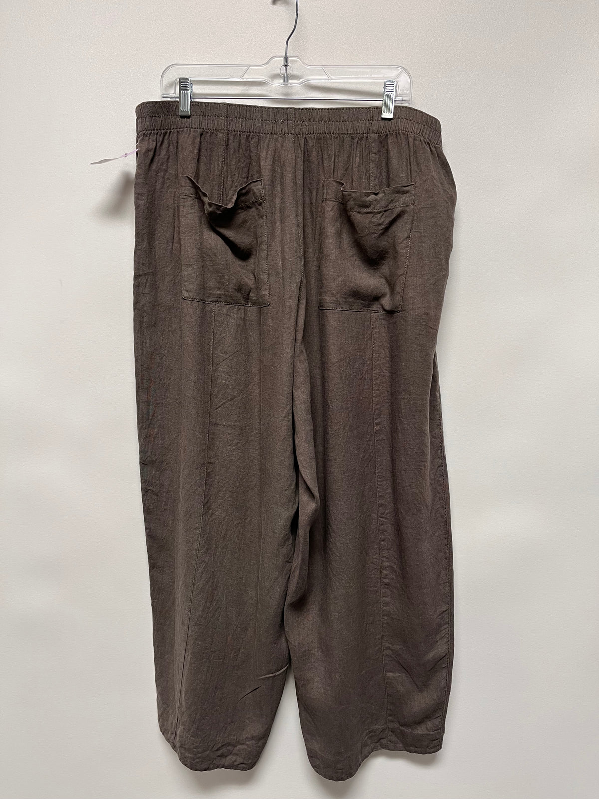 Rachel Zoe Pants Brown XL