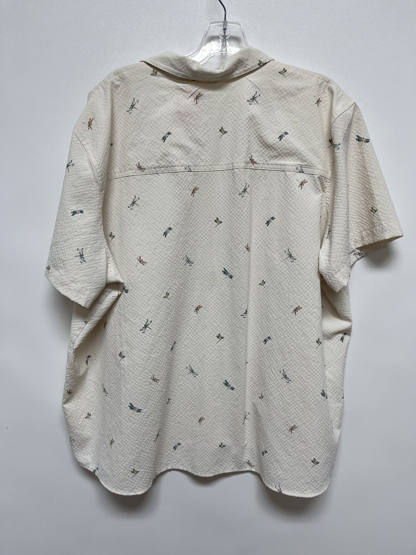 031568-2