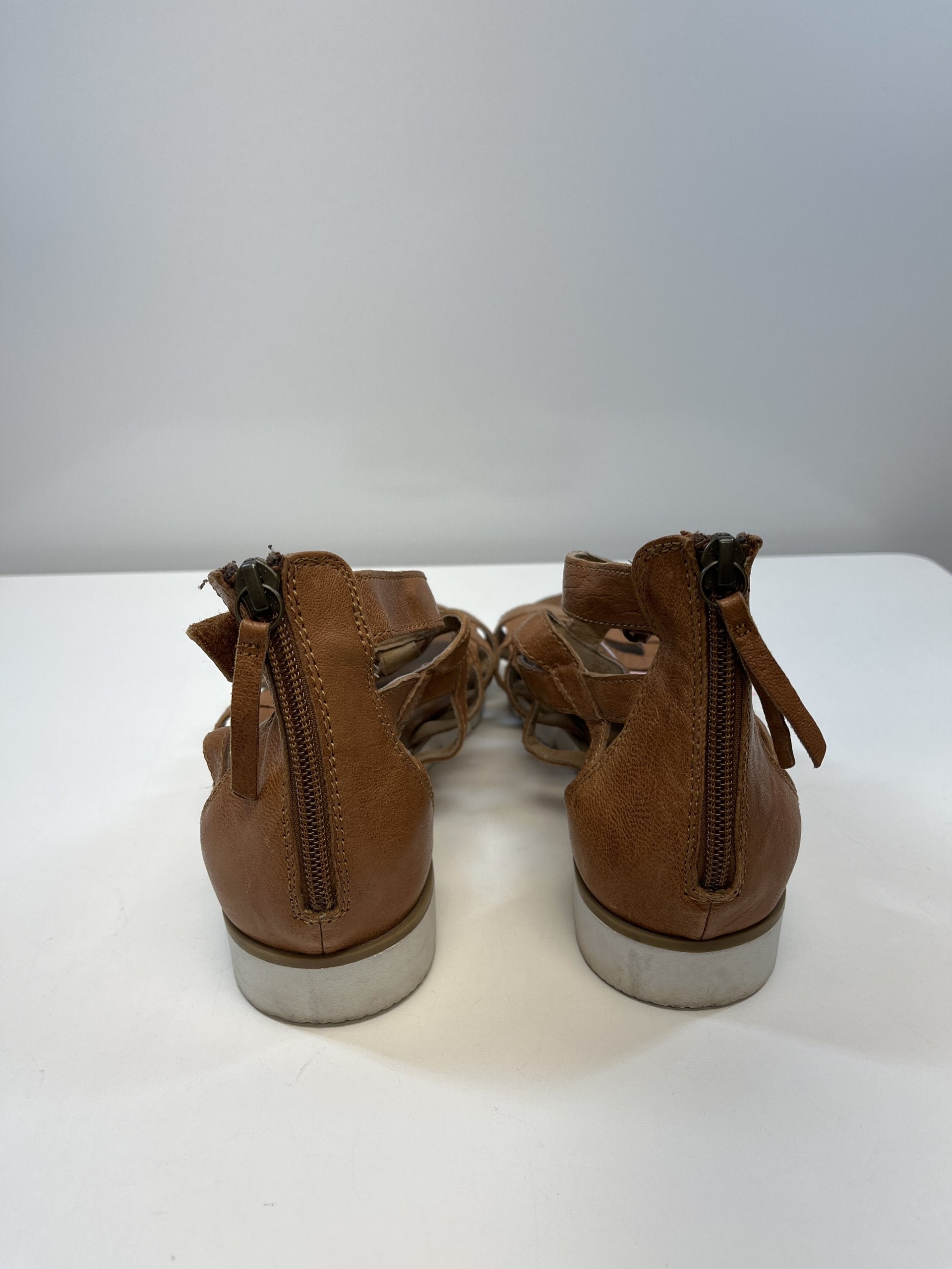 036223-1