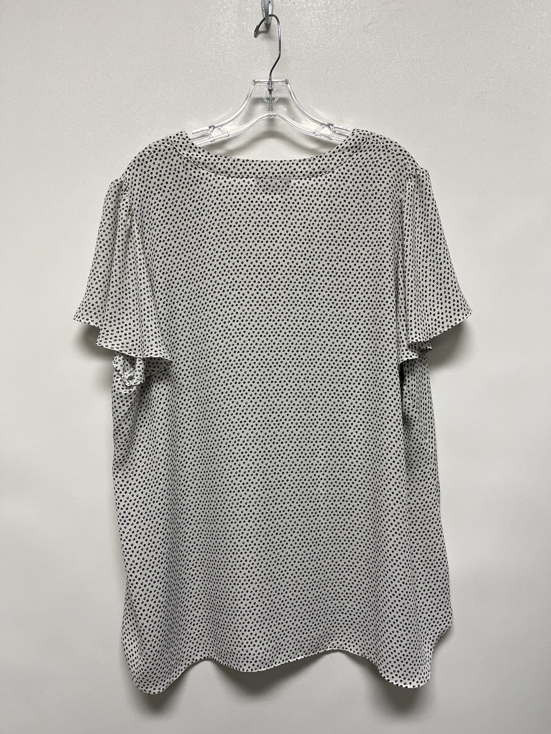 039667-2