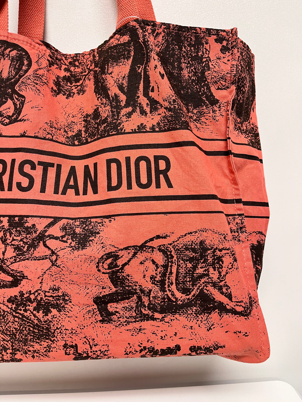 Christian Dior Tote Bag Pink Wardujuy Diorivera Jungle Canvas