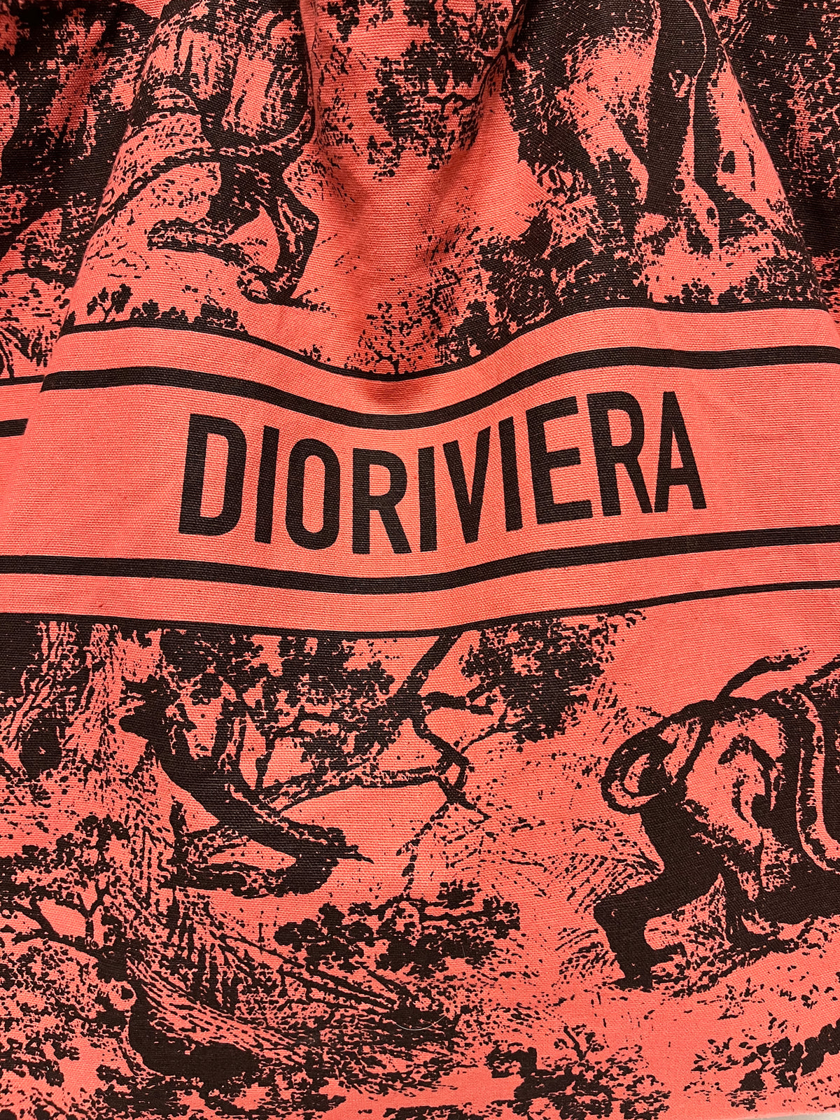 Christian Dior Tote Bag Pink Wardujuy Diorivera Jungle Canvas