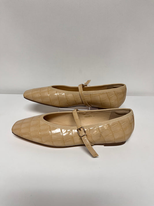 Zasda Shoes Cream  7
