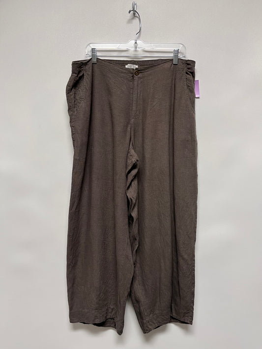 Rachel Zoe Pants Brown  XL